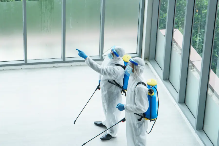 Disinfection Services